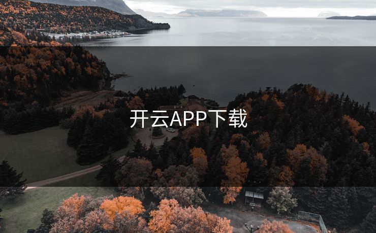 开云APP下载 开云APP下载