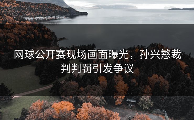 网球公开赛现场画面曝光,孙兴慜裁判判罚引发争议 网球公开赛现场画面曝光,孙兴慜裁判判罚引发争议